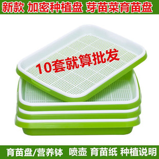 育苗盤陽台種菜盆水培器皿種植盤小麥豆芽無土栽培營養缽加密盤