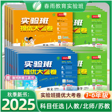 2025实验班提优大考卷小学123456年级试卷语文数学英语人苏北任选