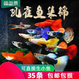 ��ȸ�~�Ꭷ�~С�ͻ��w�^�p�~�Pβ�~��ˮ���B�ͻ����B���~���R���~