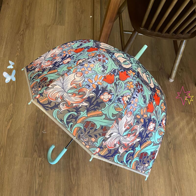 Cross-border Amazon e-commerce color transparent Apollo bird cage umbrella Mexican style umbrella fashion creative long handle umbrella