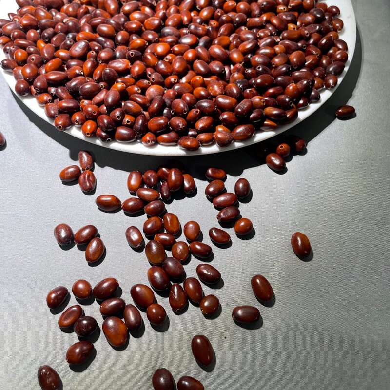 Natural Selected Soapberry Seeds, Brown-Red Plump Raw Seeds, DIY Beading Handmade Accessories Raw Materials, Bulk Wholesale Natural Selected Soapberry Seeds, Brown-Red Plump Raw Seeds, DIY Beading Handmade Accessories Raw Materials, Bulk Wholesale