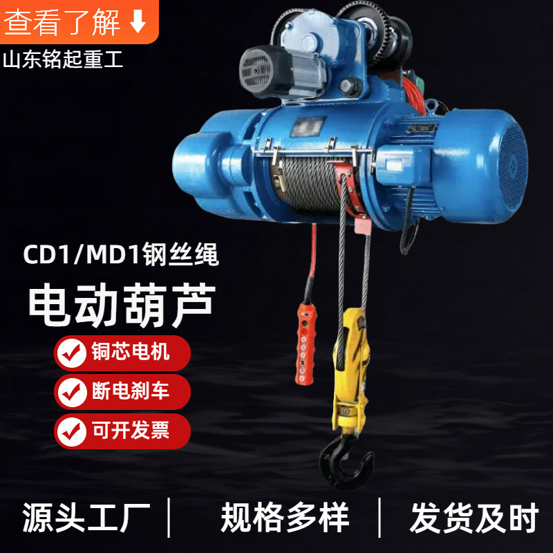 钢丝绳电动葫芦.png