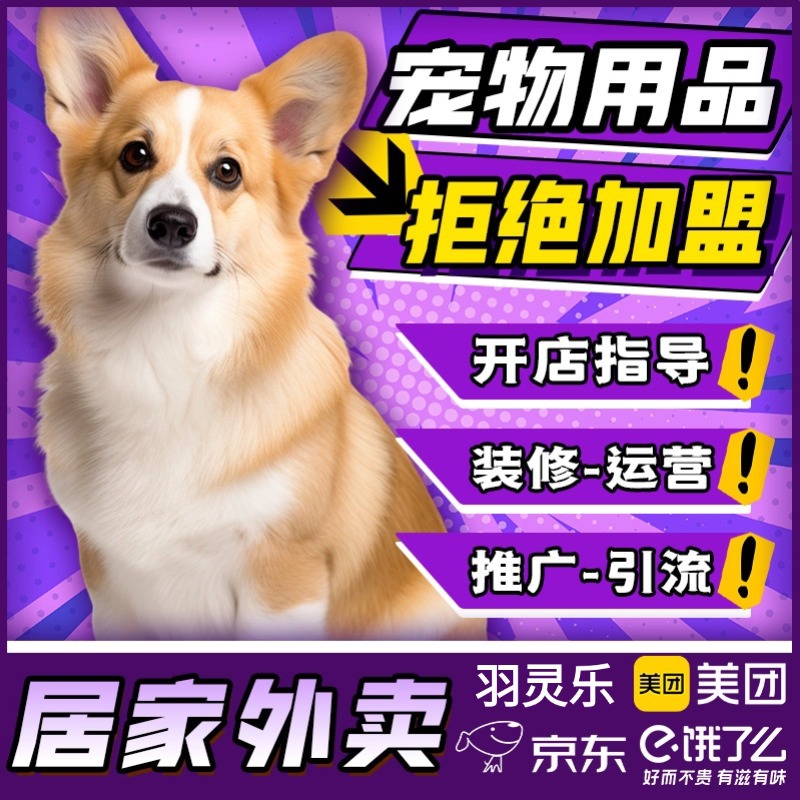 宠物用品美团外卖开店无人仓品牌代理搭建运营拿货源头厂家供应商