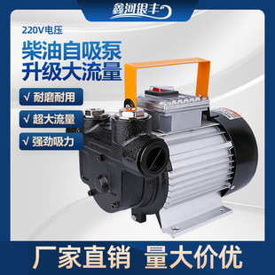 늄ӳ��ͱ�12V24V220V���������ͱô���550W�������X݆�ü�ע�C