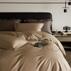 Class A high-end 100S long-staple cotton four-piece set, light luxury, pure cotton, double-piece solid color simple quilt cover B&B ins