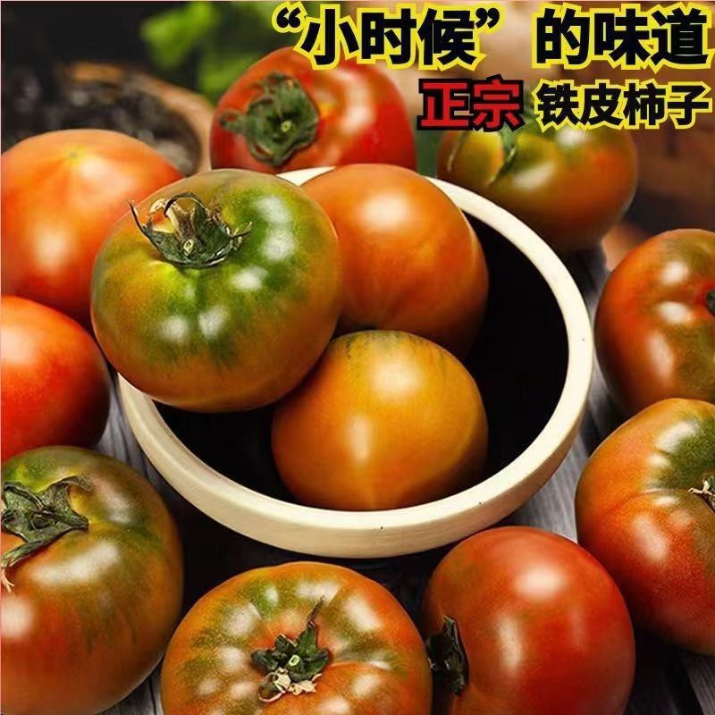 Dandong saline-alkali soil flat tomato strawberry tomato green bottom alkali oil tomato iron-skin tomato vegetable fruit