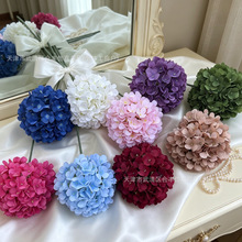 205Ƭ�����ǽ�����滨��c�Y�ù��T���ߵ��Ż������b���ٻ�