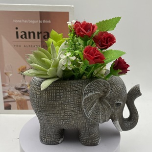 �羳�����֬�ɐ۴������b���ؔ������⻨�������b[��