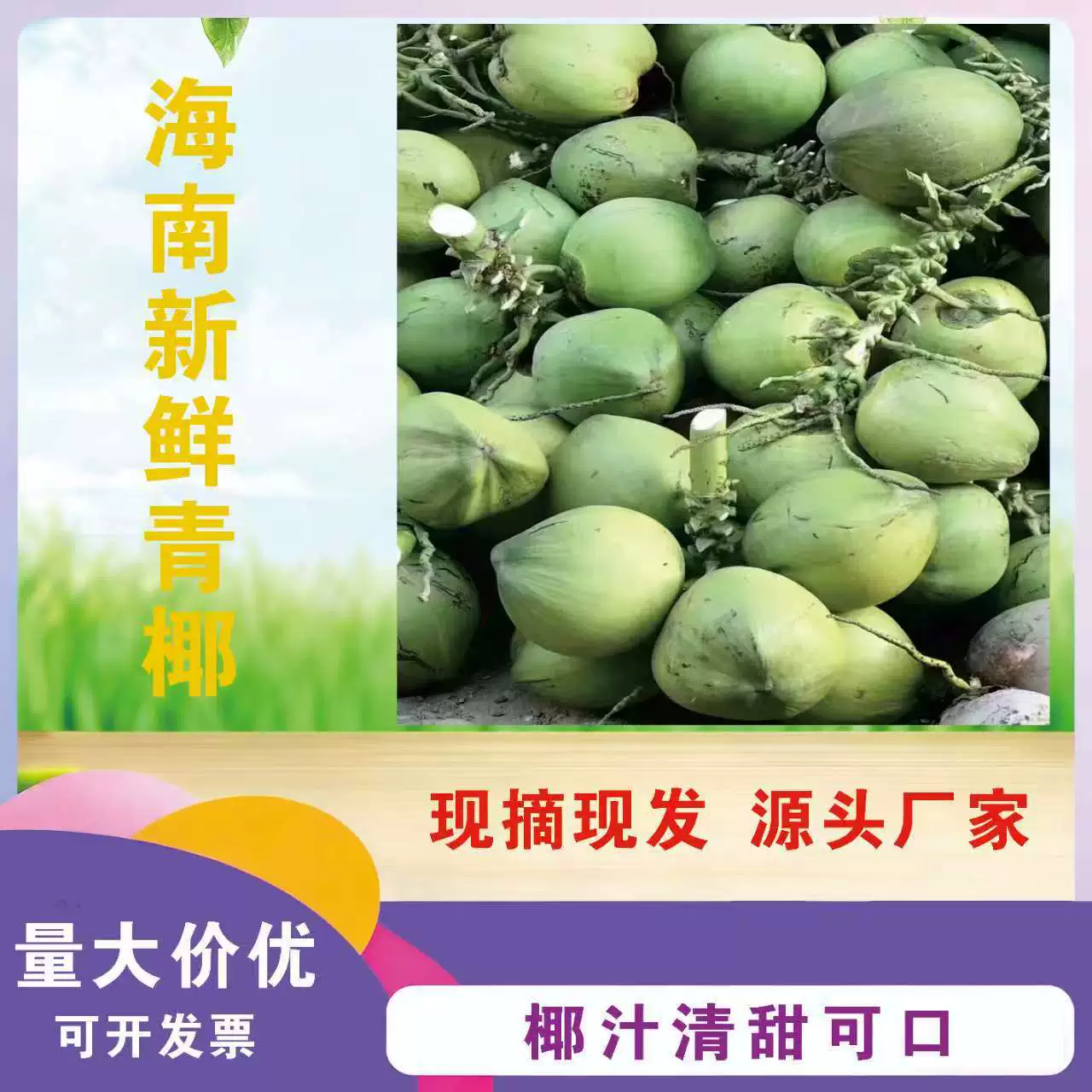 Кокосы с острова Хайнань, свежие кокосы из Цинхай-Нань, 1.5-2.5kg кокосов для доставки, сезонные фрукты для беременных, свежесобранные и отправленные напрямую от производителя.