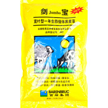 黑麦草种籽子种四季耐寒牧草种子草种鸡鸭鱼草种孑种植南方开花草