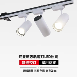 LED轨道灯;射灯;筒灯