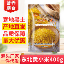 |SС400gsZSС״brŴּZ׼