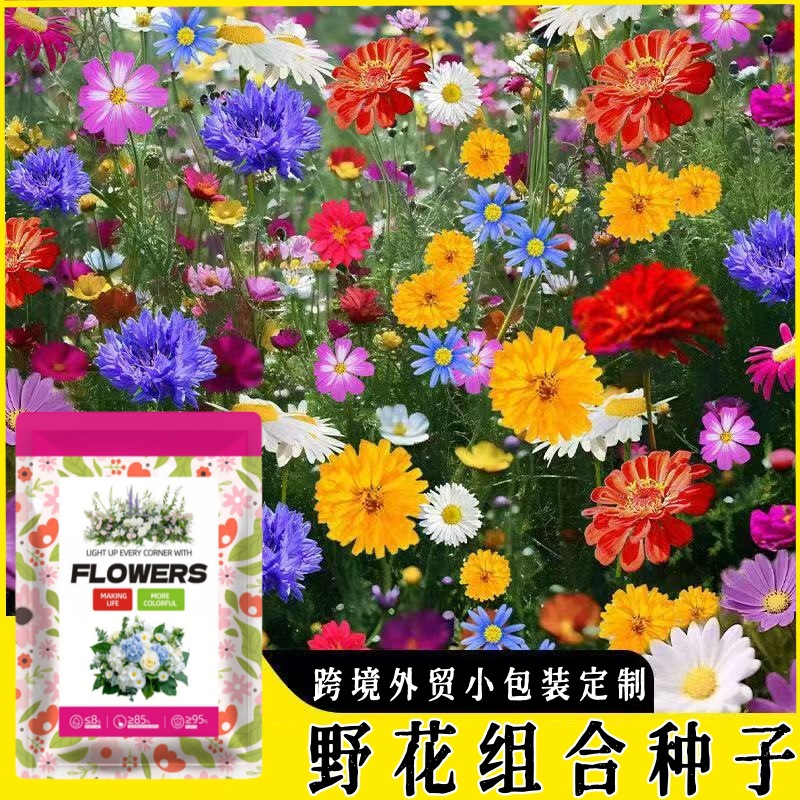 跨境外贸花草种子多年生野花播种四季易活野花组合花卉种子小包装