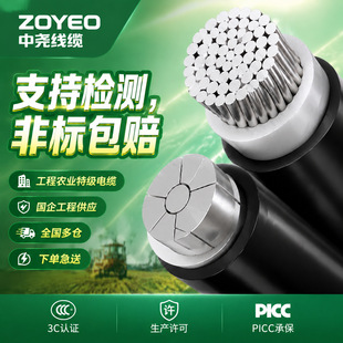 �����X��|�Xо��YJLV3 4 5о�����|��16 25 35 70 50�z�b����