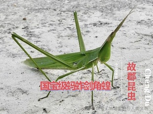 ����һ�rʮ�����ǻ�Λ���ѣ������ʰٷ�֮��ʮ���ϲ�������������