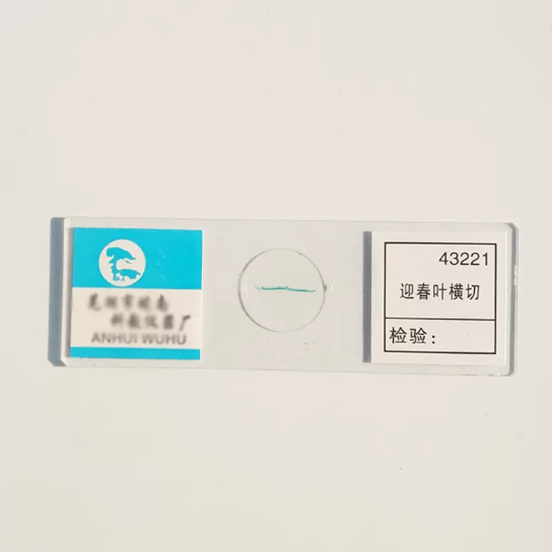 Tấm cắt ngang lá đón xuân
