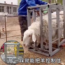 �������籣������ţ�i�̶���ץ�����\����ͨ����ᘱ�����