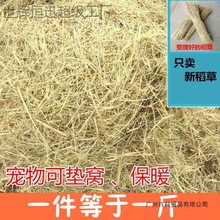 ۫�Z���ݸɲ݉|�������^���ݹ��C�u����|�C��Ȼ�ɵ��ݽն��̗U��