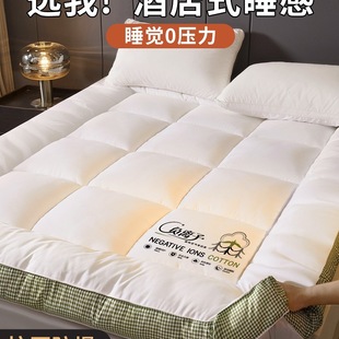 |̺˯̺üӺļͨW݆ë̺2025¿