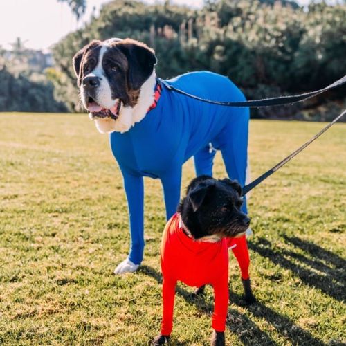Zhongda Dog Manufacturer Full Package Four Paws Autumn/Winter Dog Clothes Four Paws Clothes Pet Clothing Cat Elastic