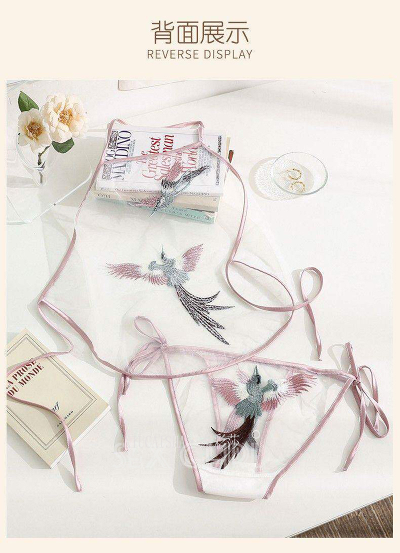 Embroidered Bellyband Lingerie Set, Sheer Mesh Pajama with White Fishnet Stockings, One Size — detail image 17