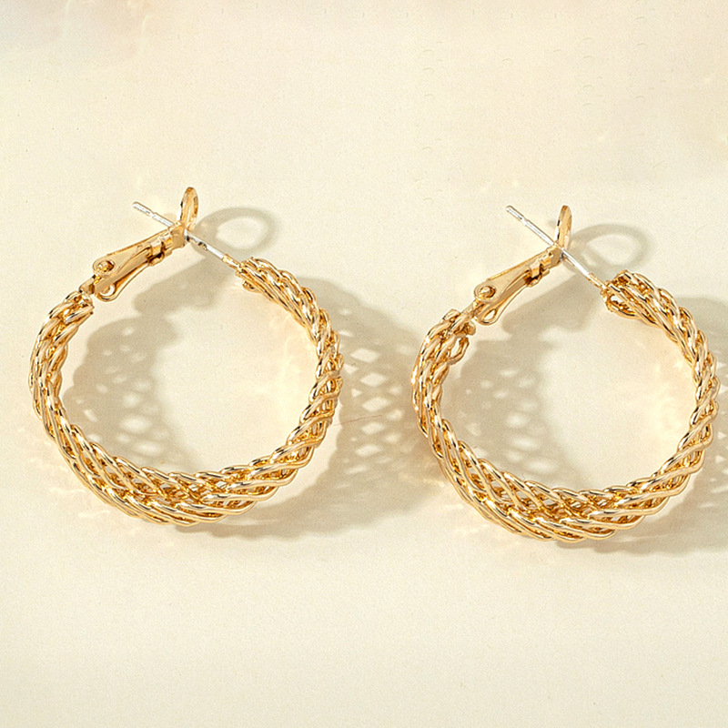 Retro Braided Style Hollowed Circle Alloy Hoop Earrings Wholesale display picture 3