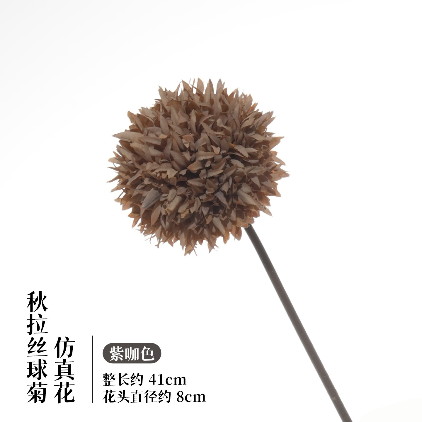 보라색 커피