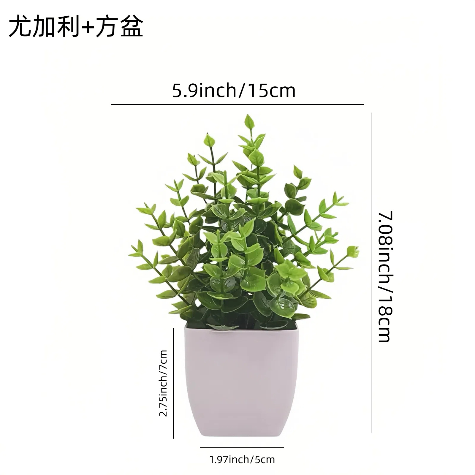 Venta al por mayor transfronteriza de Amazon: Juego de 10 mini plantas artificiales en maceta para decoración del hogar, eucalipto, lavanda, bonsái image 10