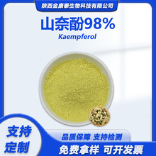 山奈酚98%槐角提取物 百蕊草素山奈素 Kaempferol 10g
