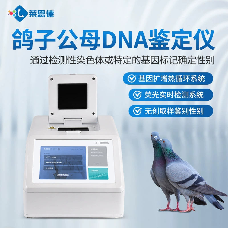 Инструмент для идентификации пола летающих голубей Идентификация ДНК голубей и самки голубей