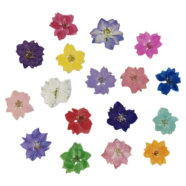 Supply delphiniums