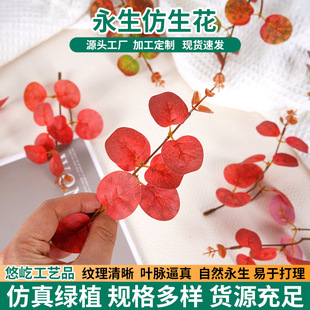 ���u�����ȼ����~��� �羳���X�~DIY�bGֲ�ٻ��~�ӏS�����l