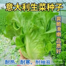 ˷Nͳ̦ԭbļ߲˷NӴȫ˷Nl