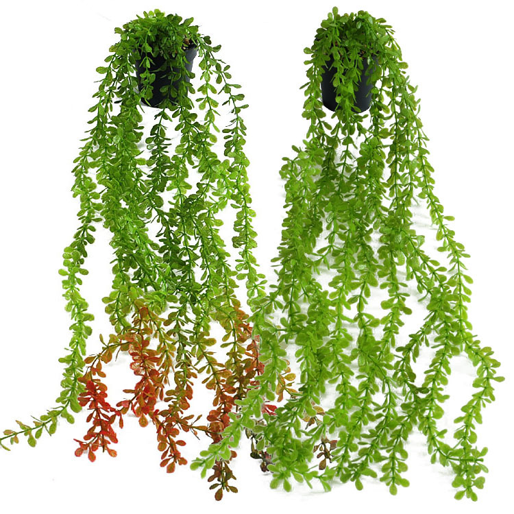 Simulación transfronteriza plantación verde plantación en maceta bonsai colgando la pared colgando el hogar hoja verde vid decoración de la pared caña de plástico