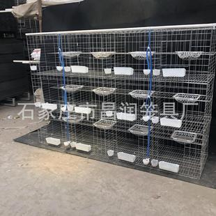 �������\Դ�^���S���l3��12λ��̖ȫ�Ԅ����ӻ\�B���S���������\