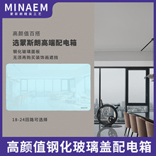 蒙斯朗鋼化玻璃配電箱暗裝強電箱家用配套電源控制箱室內22回路