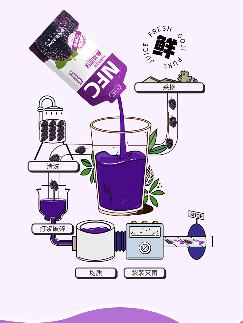 Mulberry Puree NFC Fresh Mulberry Juice 2.7L Gift Box Zero Additive Sang Shen Yuan Jiang in use