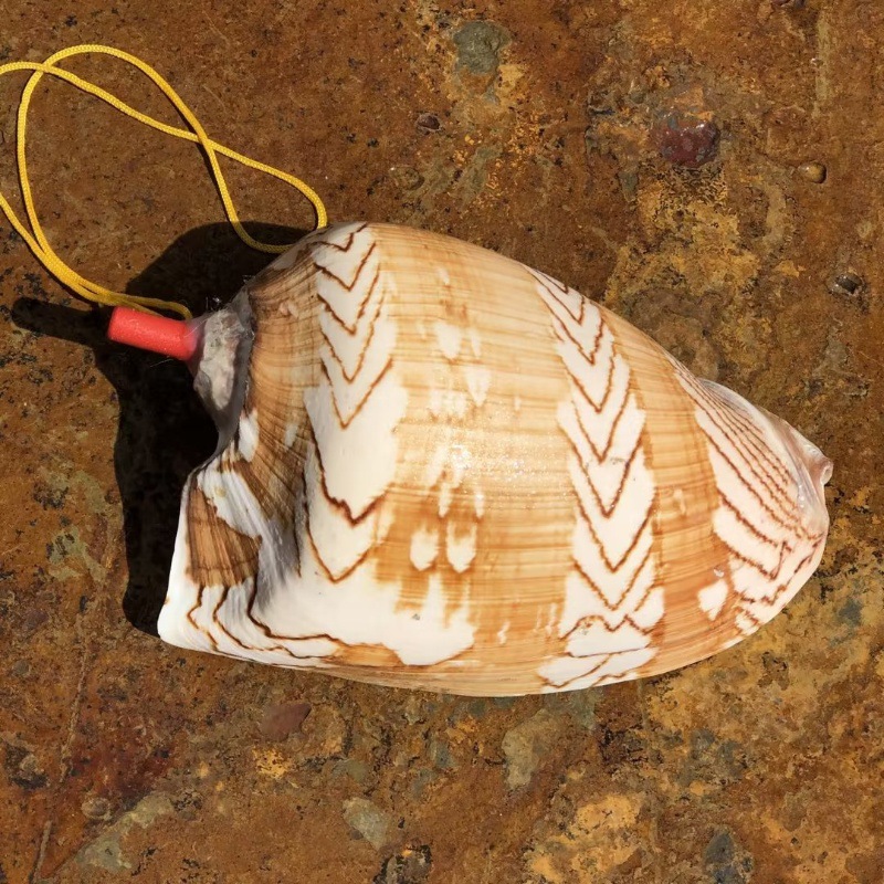 Wine red landscape snail whistle 15-16