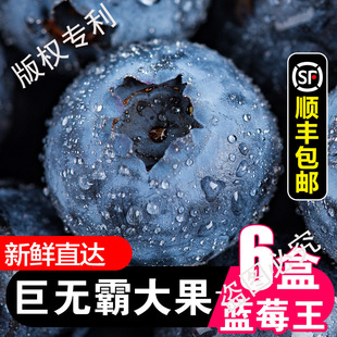 �{ݮ���rˮ�����������b���w�{ݮ�r���Fժ�ش����S���]���l�r