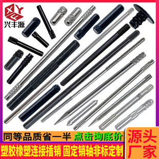 �ǘ˶��ƺ�ɫ�Nᔰl�ڈA���N�N�S��������N�S�ӹ� ���z�в��N�S