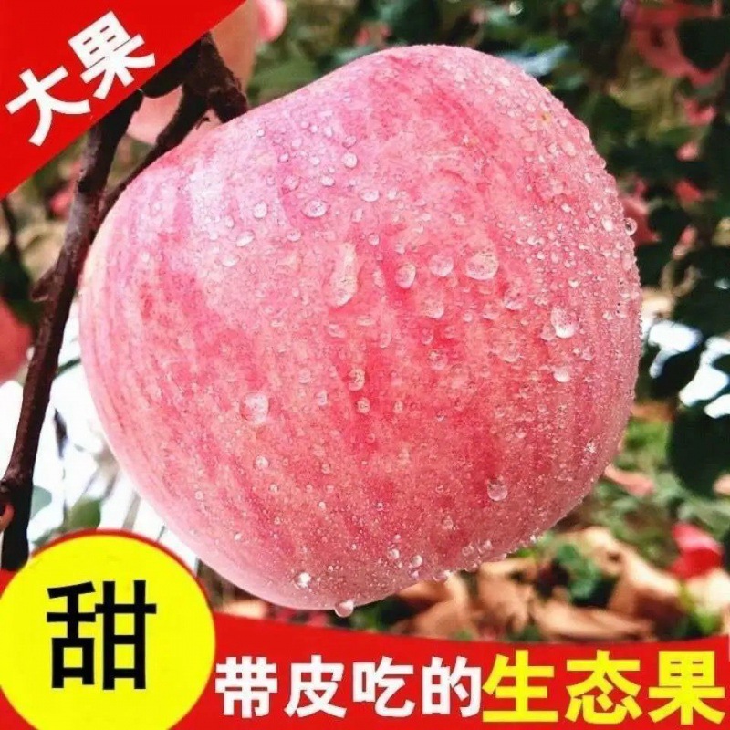 苹果红富士脆甜冰糖心陕西新鲜水果整箱批发10斤不打蜡带皮吃5斤