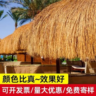 ����é������������ϵ��ݾ��^��ͤ�b�������̺����ë�����