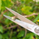 Sagawa Tian 912 long fruit picking scissors fruit picking scissors 245mm black wolfberry pepper prickly ash branch scissors gardening scissors