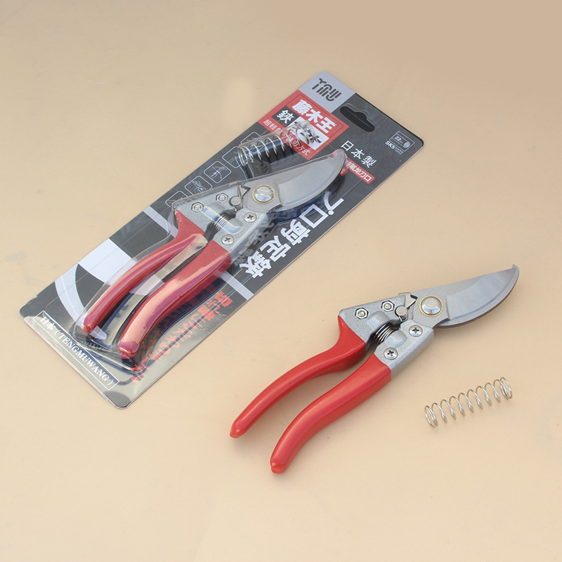 花剪园艺剪刀修枝剪修剪树枝剪刀园林工具剪枝剪刀枝剪果树修花剪