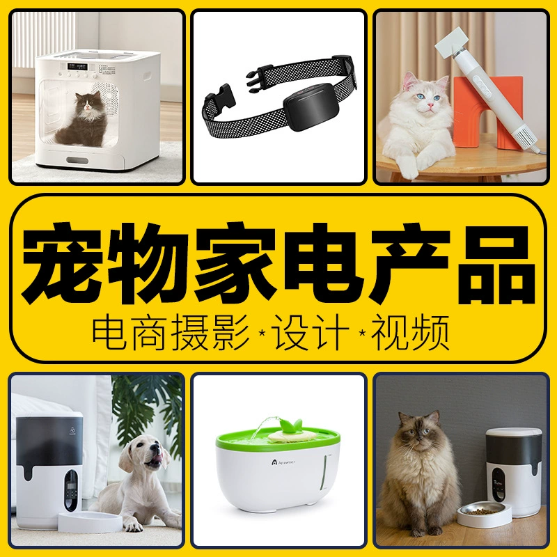 Фотография товаров для животных Amazon A+ трансграничная электронная коммерция основное изображение дизайн видеосъемка студийная фотография