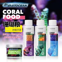 VASTOCEANҺ�w��sɺ���Z�S���r݆�x���΄�ֲ�ʯ��������Ƭ�X