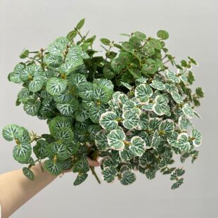 ������溣���~�ع��~���X�~С�~���ȼ����ز��b廨�쾰��ֲ��