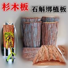 mʯNֲľ厧ƤɼľľƤʯ弃Ȼʯܲ