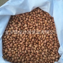 �L�ڹ��������t���������������ף�ÓƤ�����ʵ� Ʒ�|