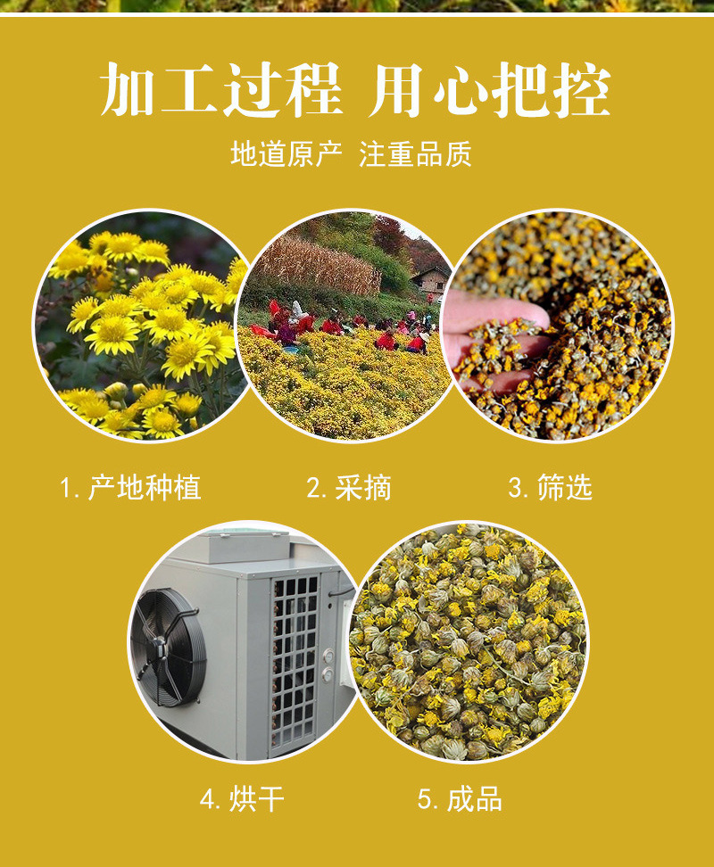 Wild Chrysanthemum Flower (Chrysanthemum indicum) — Dried Ye Ju Hua Herbal Tea, 500g Loose preparation